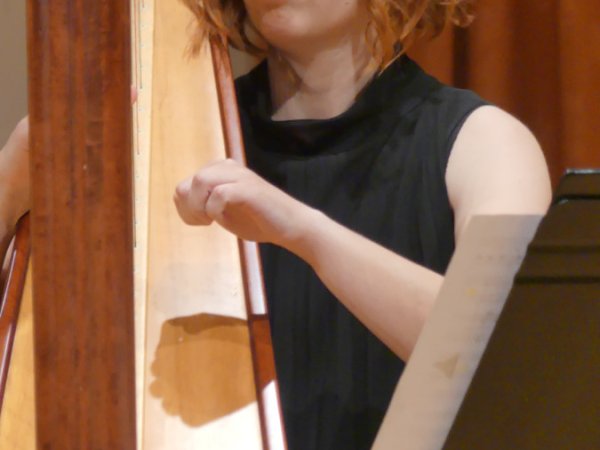P1300334.jpg