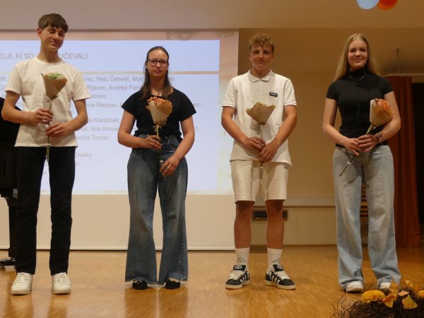 P1310333.jpg