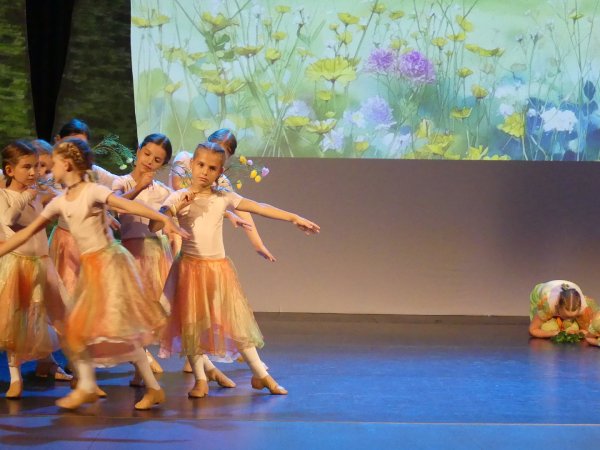 P1300841.jpg