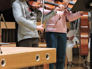 Violina