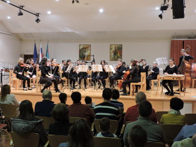 Godalni orkester GŠ Idrija