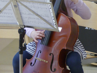 Violončelo
