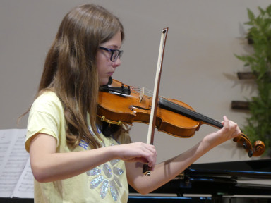 Violina
