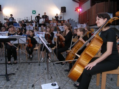 Čelistke in violistke