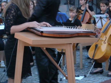 Solistka citrarka